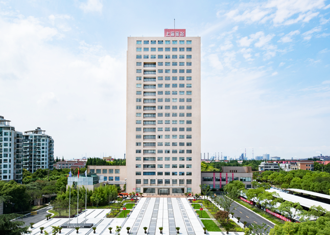 龙八国际简介